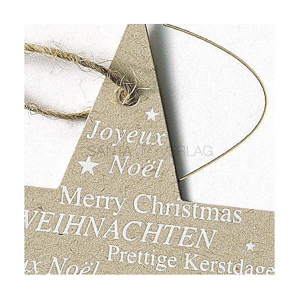 Bild 2 - Sternenschweif (internationale Weihnachtsgre)