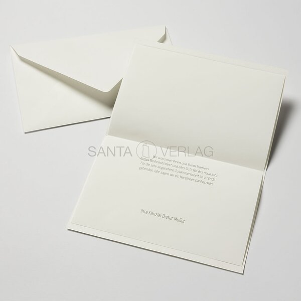 Bild 3 - Sternenschweif (internationale Weihnachtsgre)