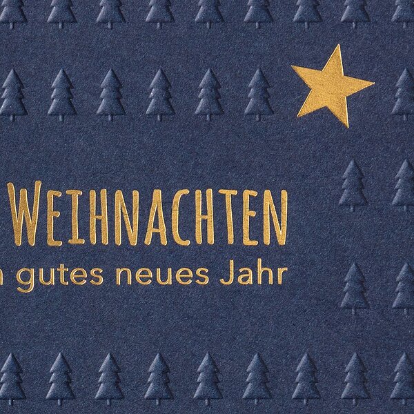 Bild 2 - Logokarte (Spendenweihnachtskarte �sterreichische Krebshilfe)