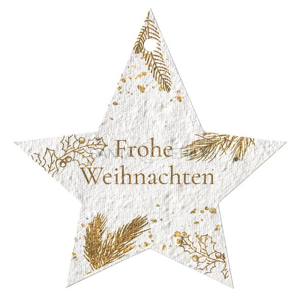 Bild 1 - Sternanhnger (Samenpapier Geschenke-Anhnger)