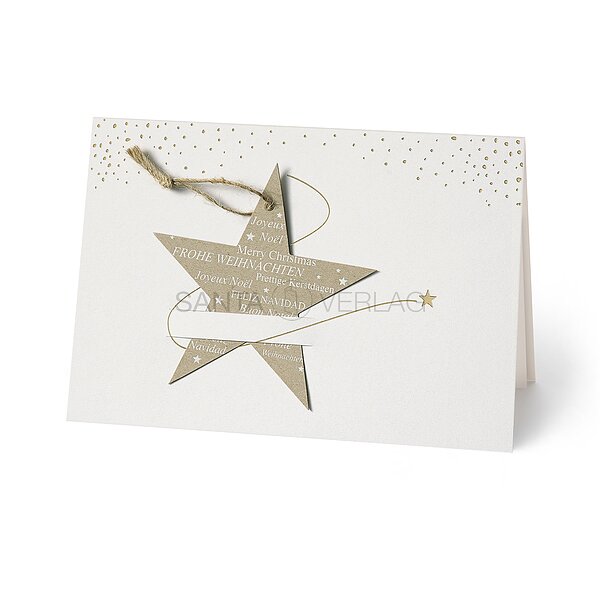 Bild 1 - Sternenschweif (internationale Weihnachtsgre)